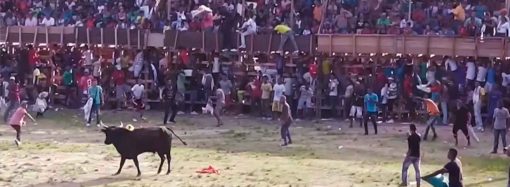 Gobernador de Antioquia invita a cumplir normas en corralejas