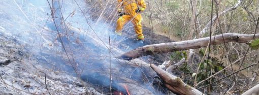 Incendios en Antioquia: la comunidad se une ante la emergencia